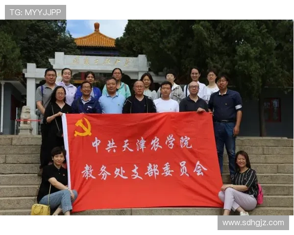 南京羽毛球队逆袭之路的真实记录与奋斗精神的传承