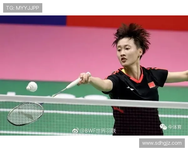 武汉羽毛球队整体表现分析与压制策略的得失探讨