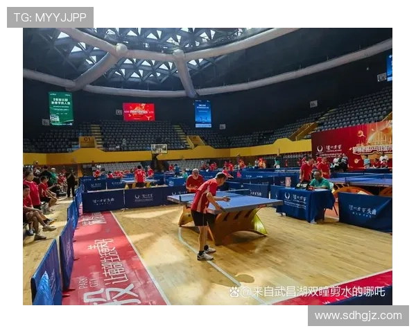 乒乓球专题：深入探讨杭州乒乓球队在耐力训练中的创新与成就